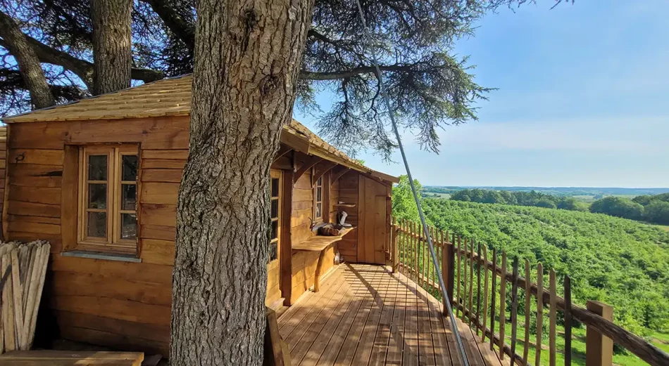Tree house
