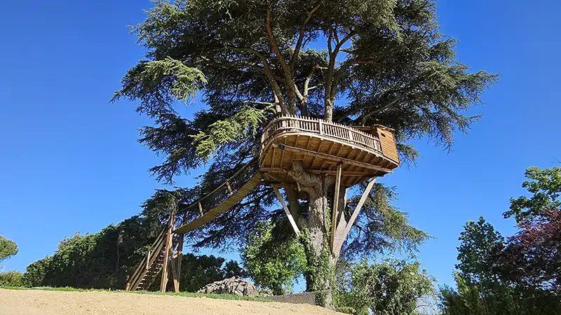 The tree house